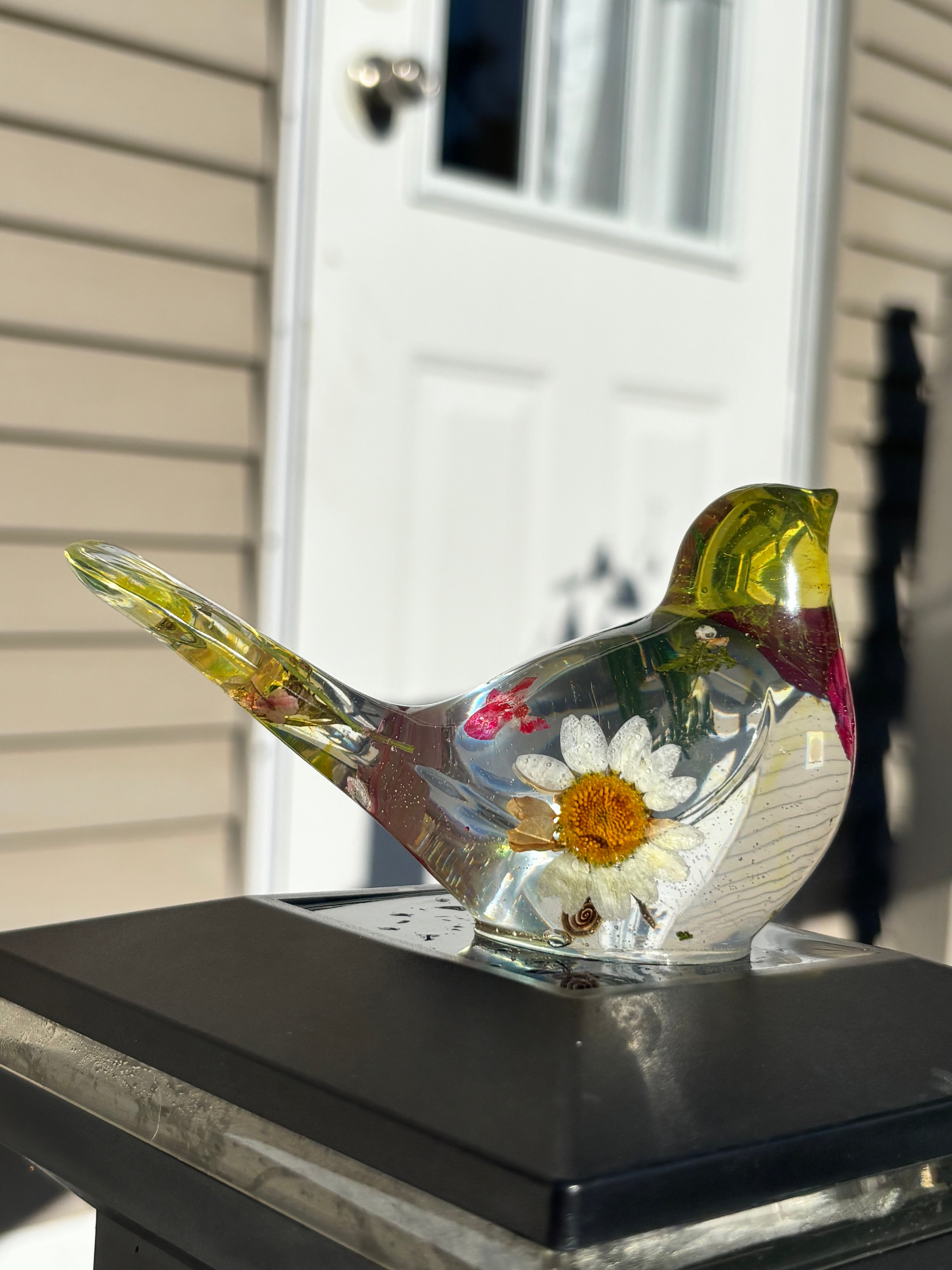 Garden Songbird